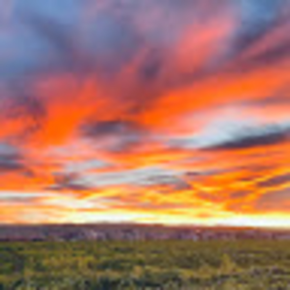 Meet your Posher, Melinda